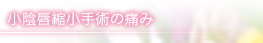 小陰唇縮小手術の痛み