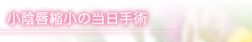 小陰唇縮小の当日手術