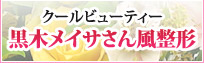 黒木メイサさん風整形