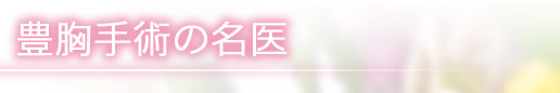 豊胸手術の名医