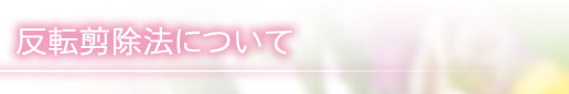 反転剪除法について