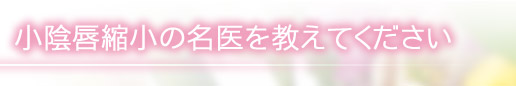 小陰唇縮小の名医を教えてください