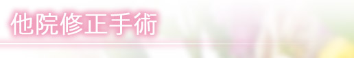 他院修正