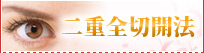 二重全切開法