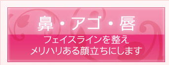 鼻・アゴ・唇　フェイスラインを整えメリハリある顔立ちにします