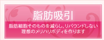 脂肪吸引　脂肪細胞そのものを減らし、リバウンドしない理想のメリハリボディを作ります