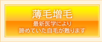 薄毛増毛　最新医学により諦めていた自毛が甦ります