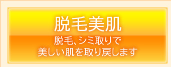 脱毛美肌　脱毛、シミ取りで美しい肌を取り戻します