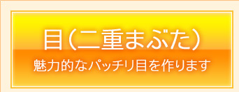 目（二重まぶた）　魅力的なパッチリ目を作ります