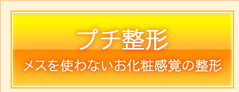 プチ整形　メスを使わないお化粧感覚の整形