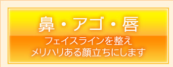 鼻・アゴ・唇　フェイスラインを整えメリハリある顔立ちにします