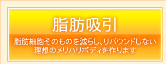 脂肪吸引　脂肪細胞そのものを減らし、リバウンドしない理想のメリハリボディを作ります