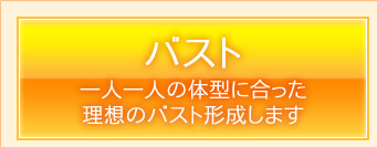 バスト　一人一人の体型に合った理想のバスト形成します